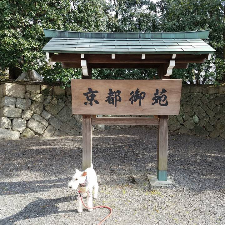 77a67555 0e1c 4f9a a803 14f2ea653433 1517047179381