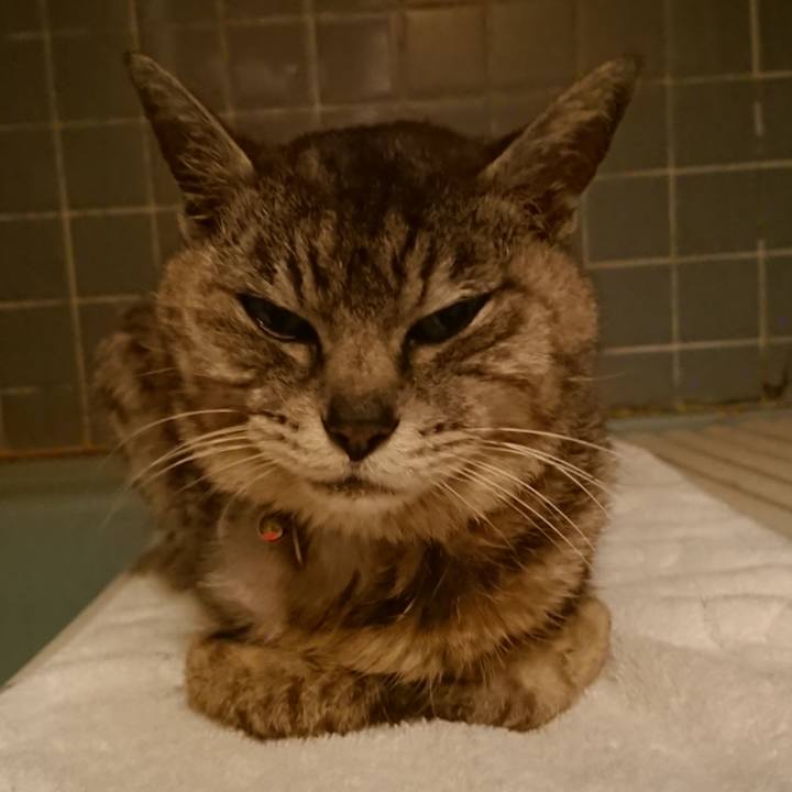 77a68f7e c340 4f59 803f 1d53e73ad3f0 1594118175706