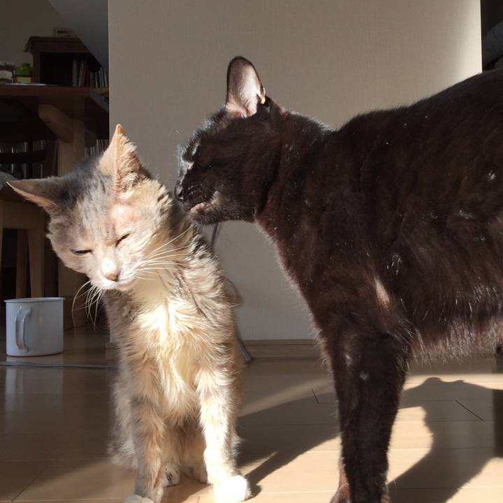 77a69f76 43b5 4cf6 916c 4b5e7cf43b52 1514610964722