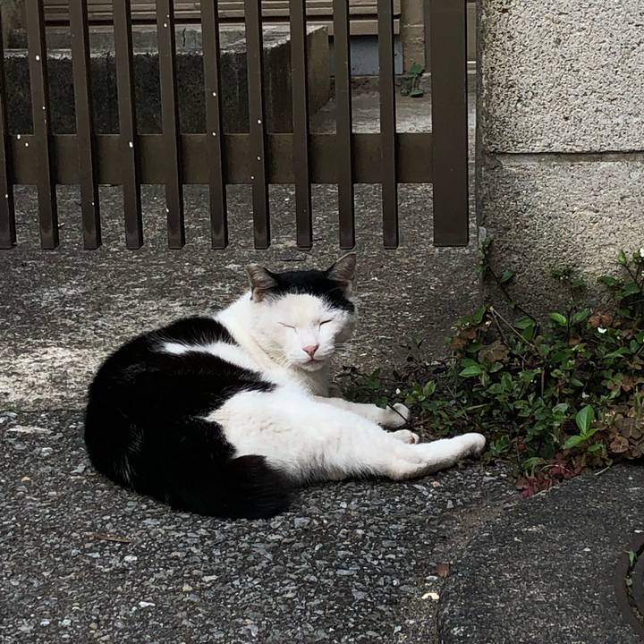 77a6ab82 cb3a 4122 8921 57cef5e02976 1656520884072