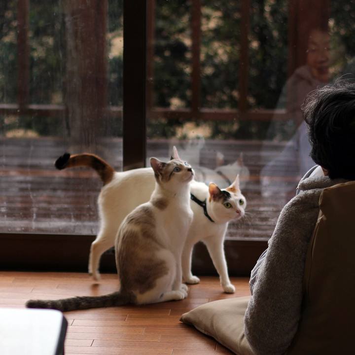 77a6dca3 6ec4 451c 8093 6fa7ad8909c6 1612481573124