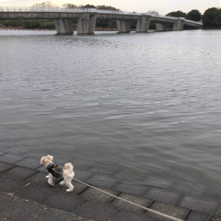 77a6ddda 28ec 41ef b99e 9e23c72b19b3 1521187261169