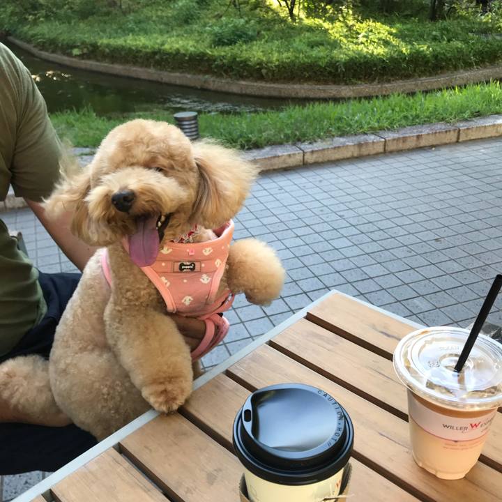 77a6e77c 54c8 43a3 b83b 26dcec0d1c70 1535285718192