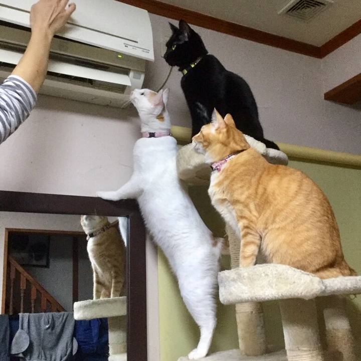 77a6ec4e 162c 40c8 8c69 58531099abee 1546432354966