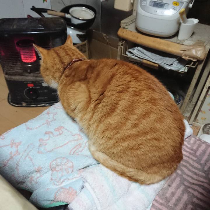 77a71237 03f5 4db7 ab59 e3aa648aa0cc 1606856062040