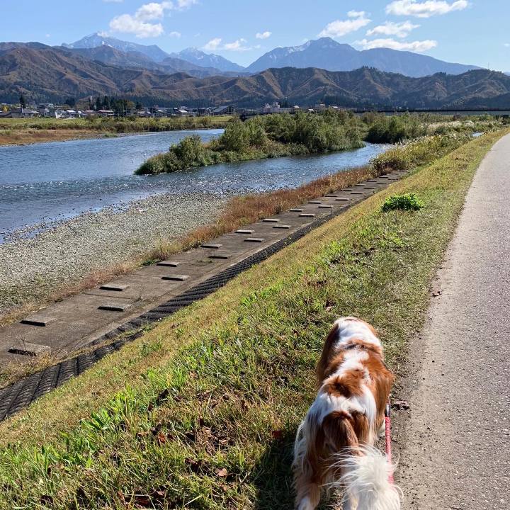 77a716b8 4262 4586 8a03 2b2a66bbc256 1604114726860