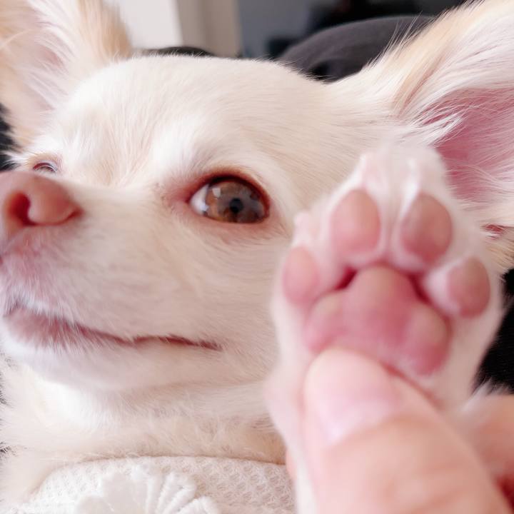 77a71ded fde4 4d4f ac11 dde6a180f243 1696248733931