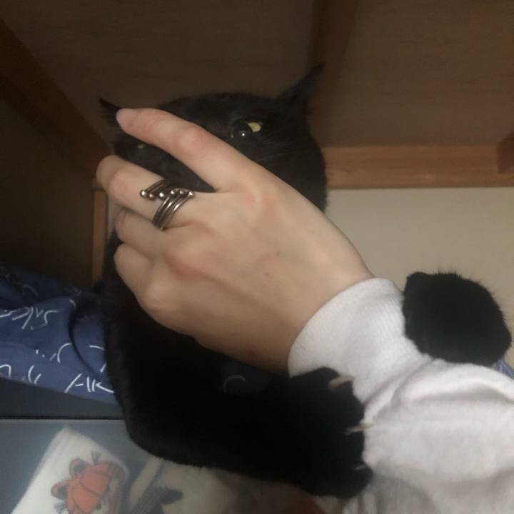 77a72051 41dd 420c ade3 519a6d7f9151 1633565192023