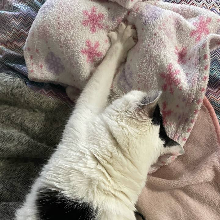 77a76337 2506 4bac b29f cdff528e3bfd 1676032680266