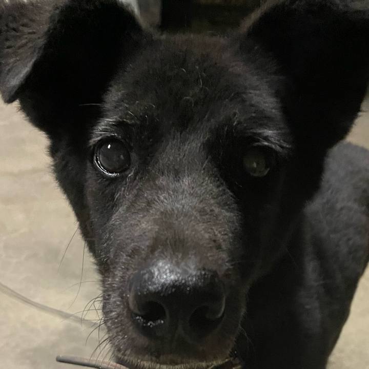 77a77ded 84fc 4ca1 9c17 0f876d050d06 1660752496163