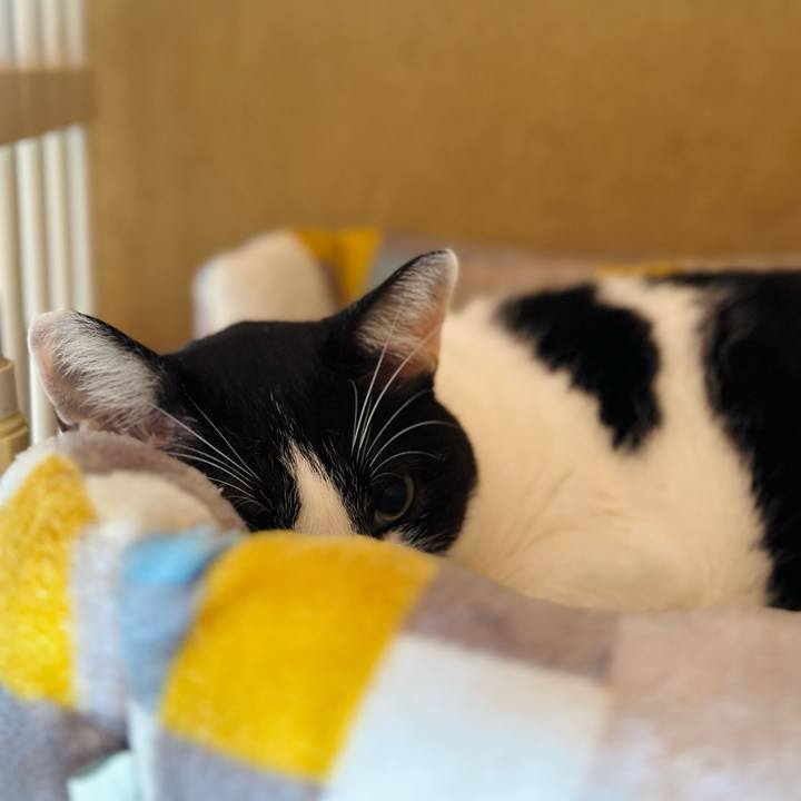 77a79344 9113 45d9 bcc5 b0c2c2ade811 1698290631401