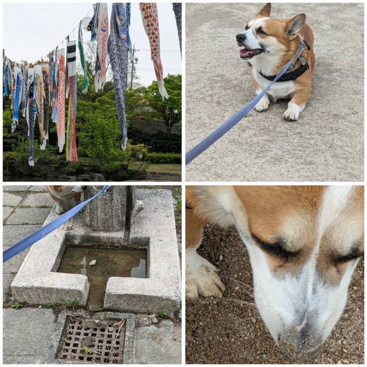 77a79d2d e98d 47d0 b0d1 bf6d9f6f3316 1714541654221