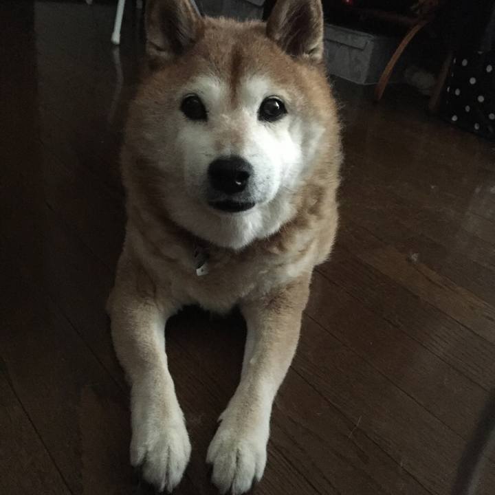 77a7bd94 07d7 4b82 92fa 56bda518266f 1558135157235