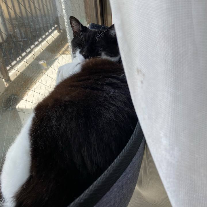 77a7f466 287e 4f7f bc11 790d3321e3da 1648375109442