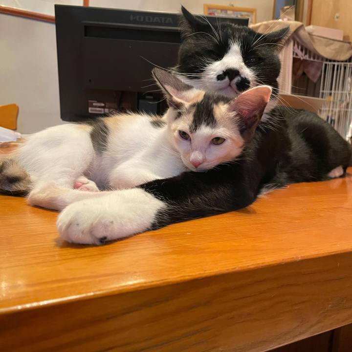 77a7fdb0 48e9 4ecd 8ab6 32e0b81b6ecb 1659088589854