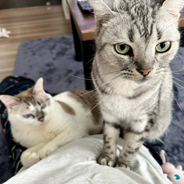 77a81673 da81 4ffd ad90 46a44d338b6b 1727485952945