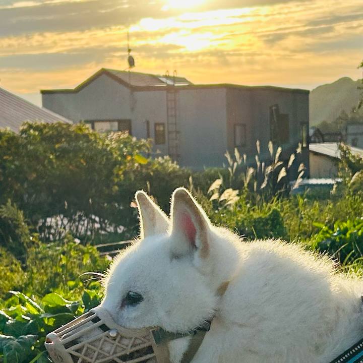 77a82761 3056 421c b2d7 1fdb7208e806 1757539069979