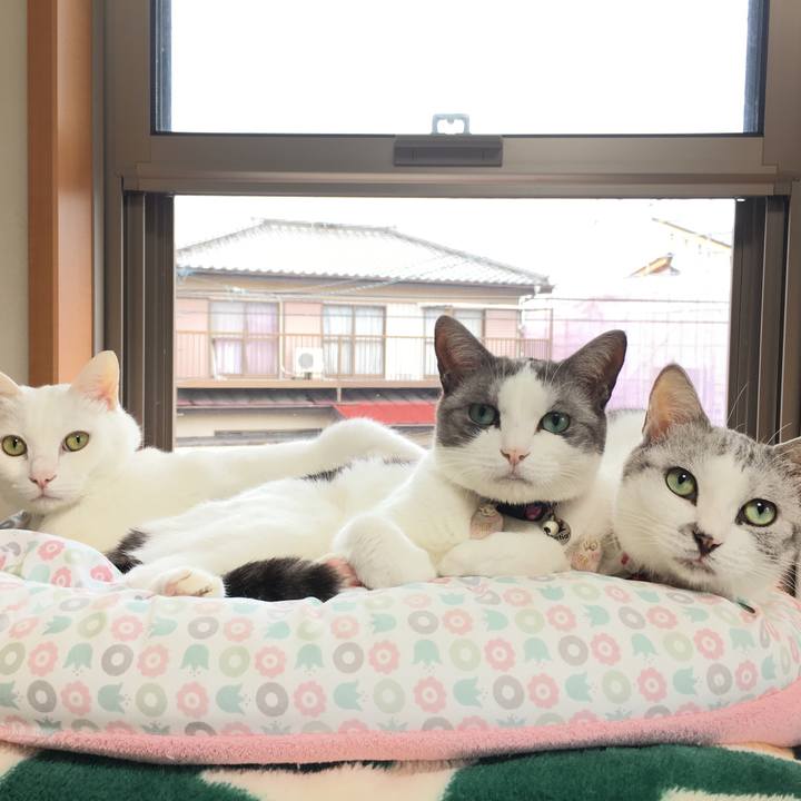 77a8586d 22c0 480a 85f4 3e5d01968855 1535870876355