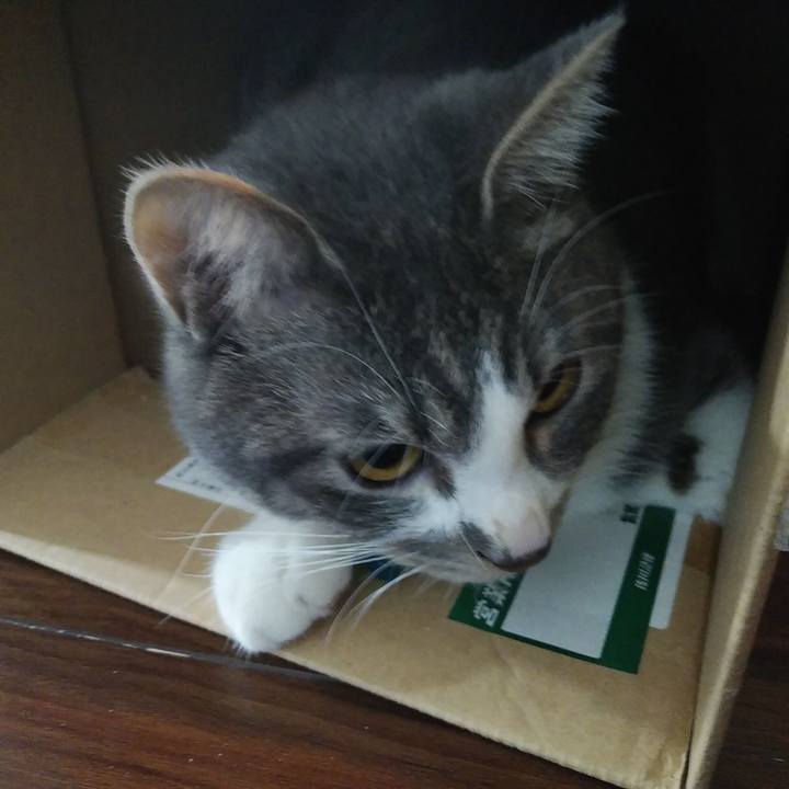 77a86a1c 7813 4e23 bed7 a6ea093247c4 1580261738273