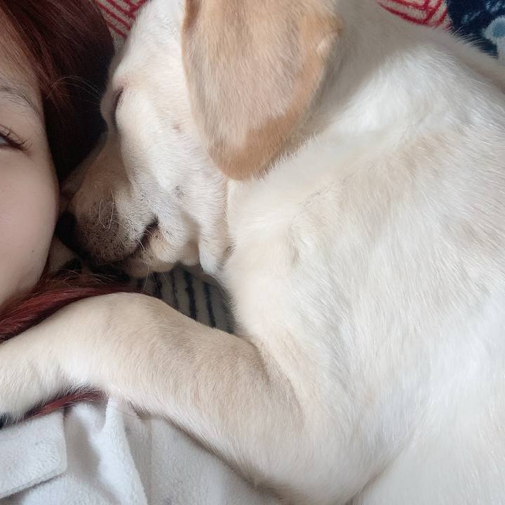 77a87646 1d0c 4881 a1ef b4ac44828eec 1613196573280