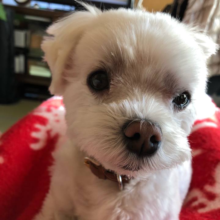 77a87d97 1b01 43fb 8685 7396254ee051 1546955054854