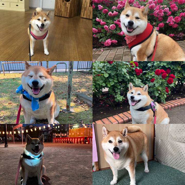 77a9483c 0bc2 496e 8ce7 2a4a2e29278d 1725902213792