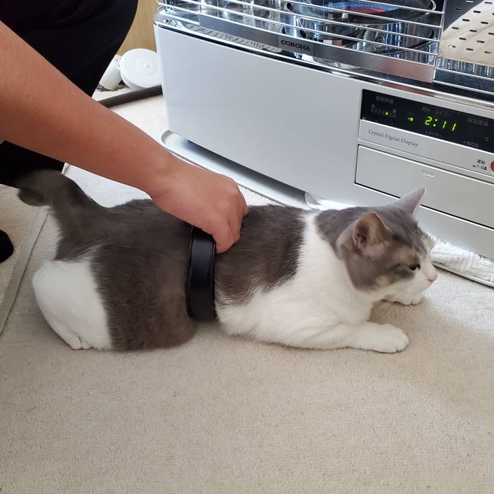 77a957ba ce99 4266 b105 4f5f44a3b01a 1704382432519