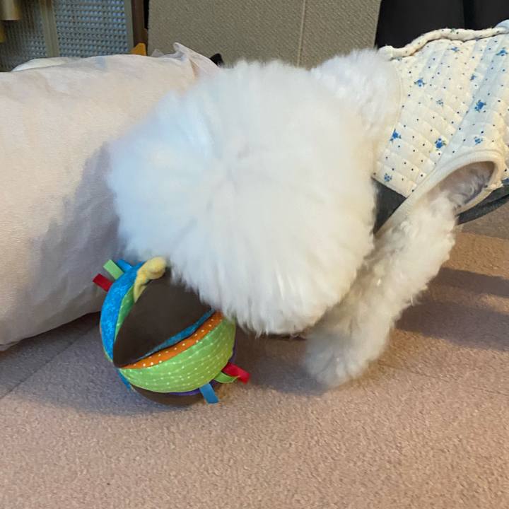 77a974fb fc87 47e0 9b3f 5e3d4bc0b58d 1742080268466