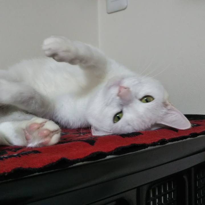 77a9a494 8920 485f ad65 00ade6fab4a1 1638828327503