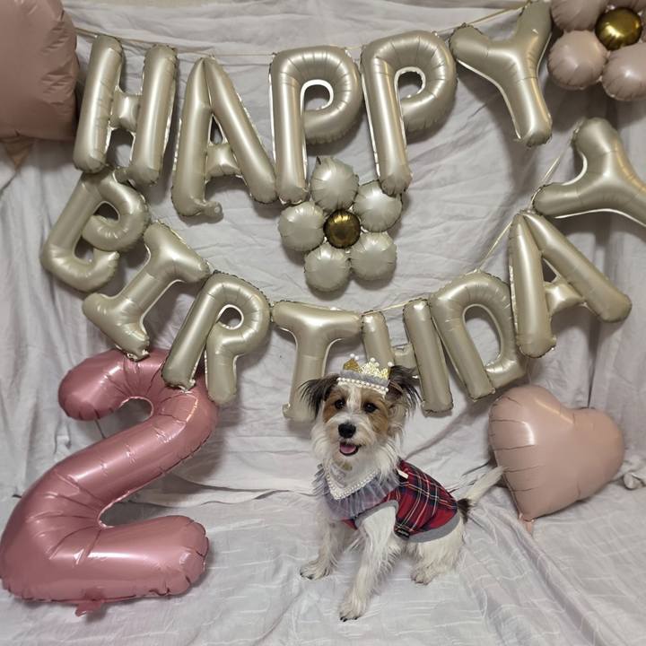 77a9c210 9c57 4a85 8377 fd9a0f6aadd3 1762680985766