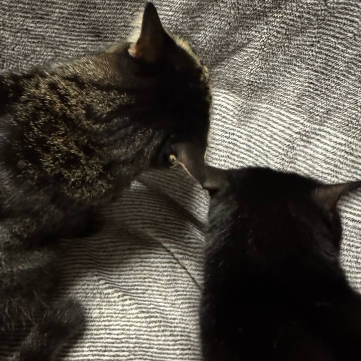 77aa0551 ad9b 4892 9210 0f05f12b75cd 1761828330368