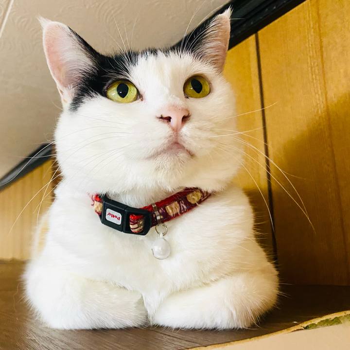 77aa0906 9f37 40b3 ae5d 89a27c33371a 1663019074027