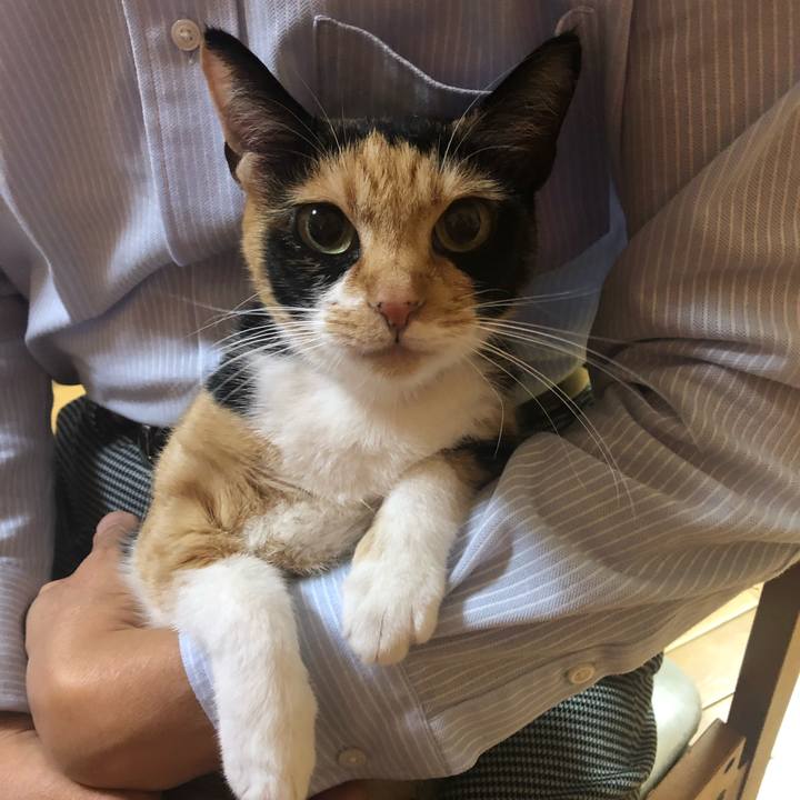 77aa30ca b34e 4dde bfb4 5516018a59d2 1573959765513