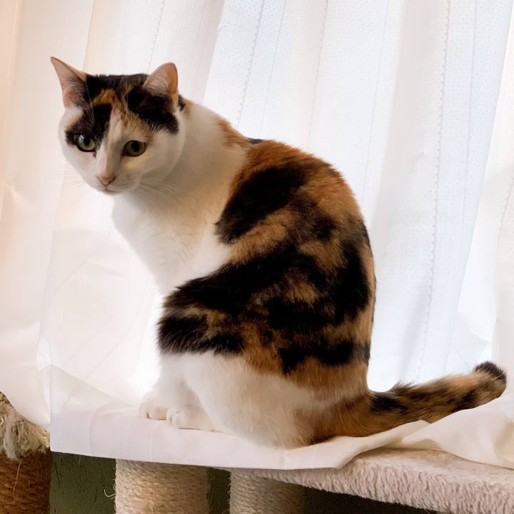 77aa42eb 3b62 483d bd4c c91e26b4be12 1546996856728