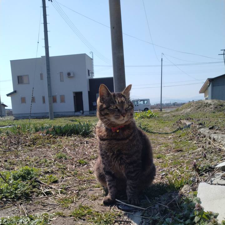 77aa6dfb efca 4447 b502 d9c282d807f5 1680396782428