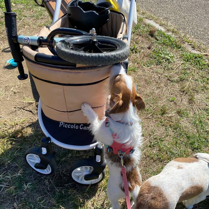 77aa891a 82e4 4eaa aacc 86820785dcf0 1697949416355