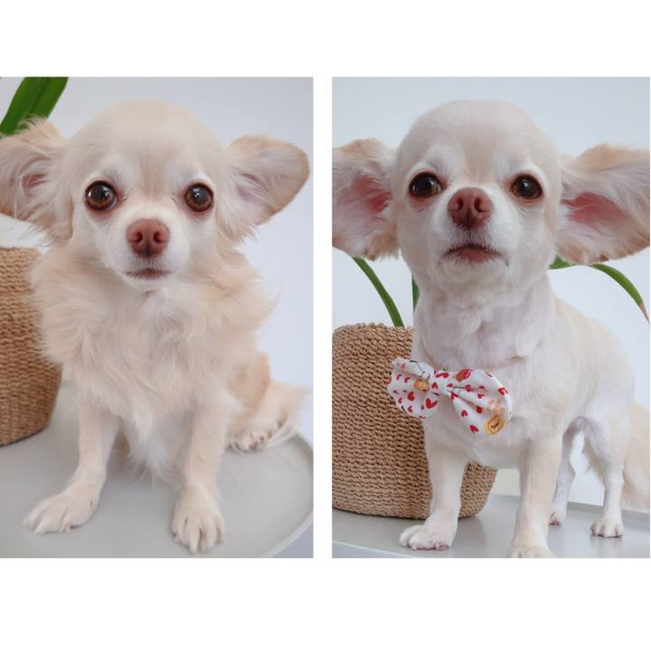 77aaa955 a9a8 4741 8421 25377151b386 1755599591071