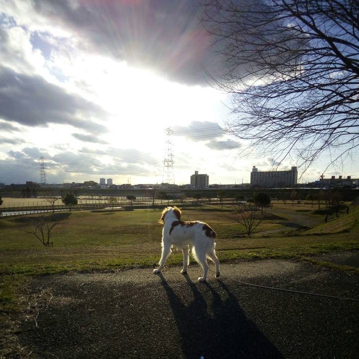 77aac184 095a 4744 b4bb bb1285b92176 1516879200590