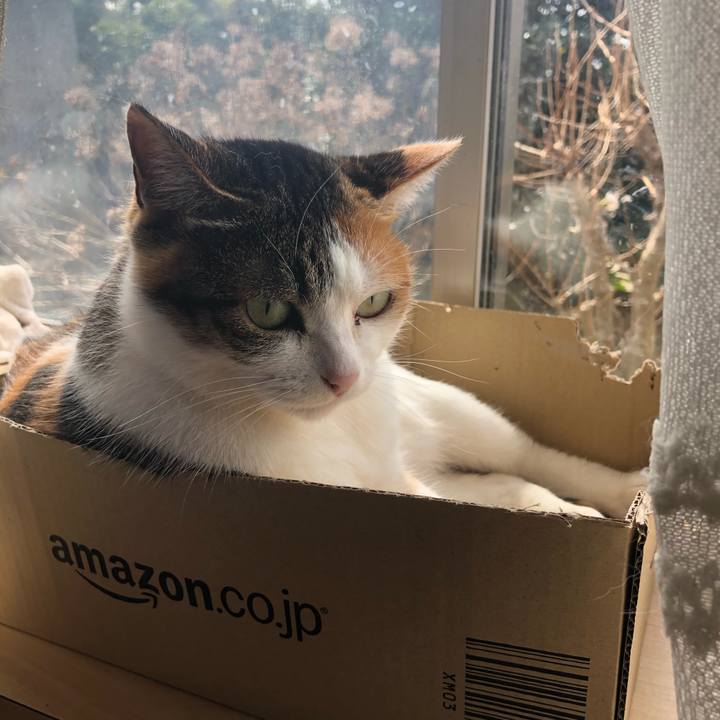 77aac7e0 2515 4b77 ac8d 9bed95108c2d 1614998864280