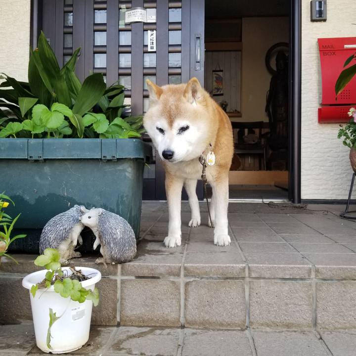 77ab106b bd67 4014 9ccf c470b5bd7a9e 1745019493332