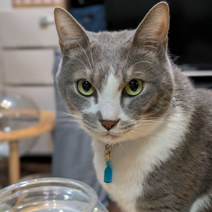 77ab2e53 0f2e 4333 9bee a4728ae55818 1734792337021