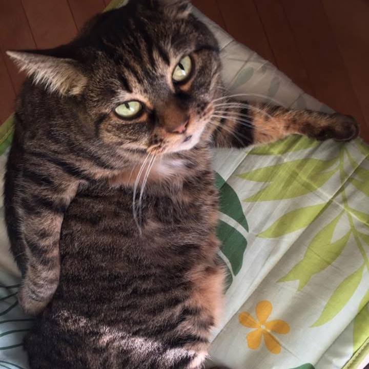 77ab5687 ef7b 421a 9169 8c688594d171 1769869601586