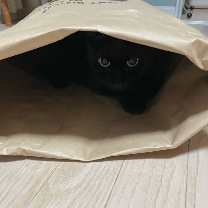 77ab660c 82c5 4118 ad54 d788aa305737 1729599651313