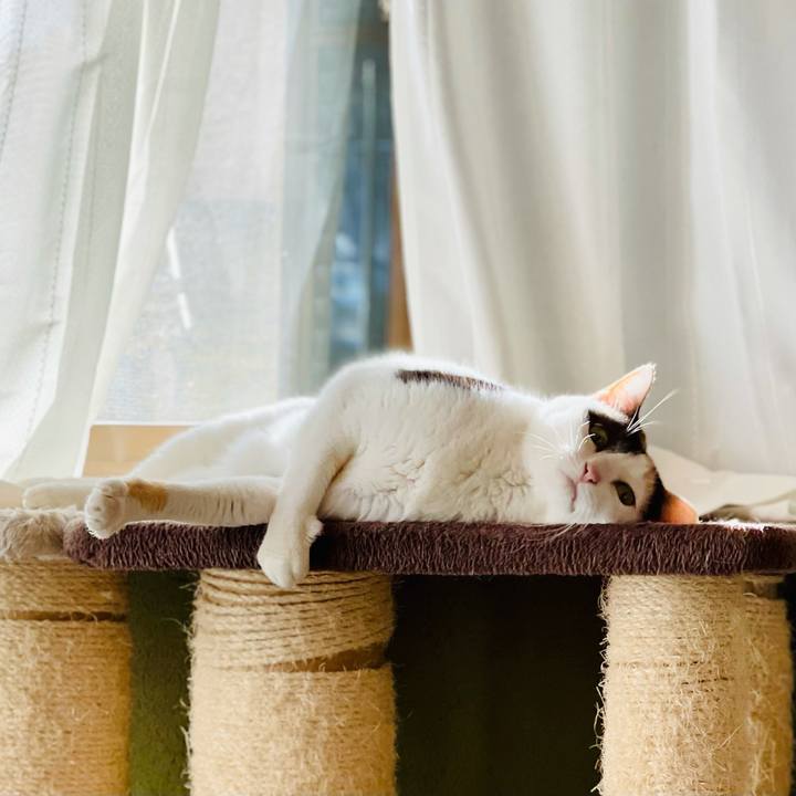 77ab8f8f 7b56 4962 8d92 bfb0d0bcbd88 1617760040231