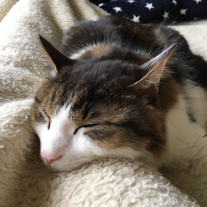 77ab99c2 1bcf 4266 8f91 cdbe19d45083 1547255335704