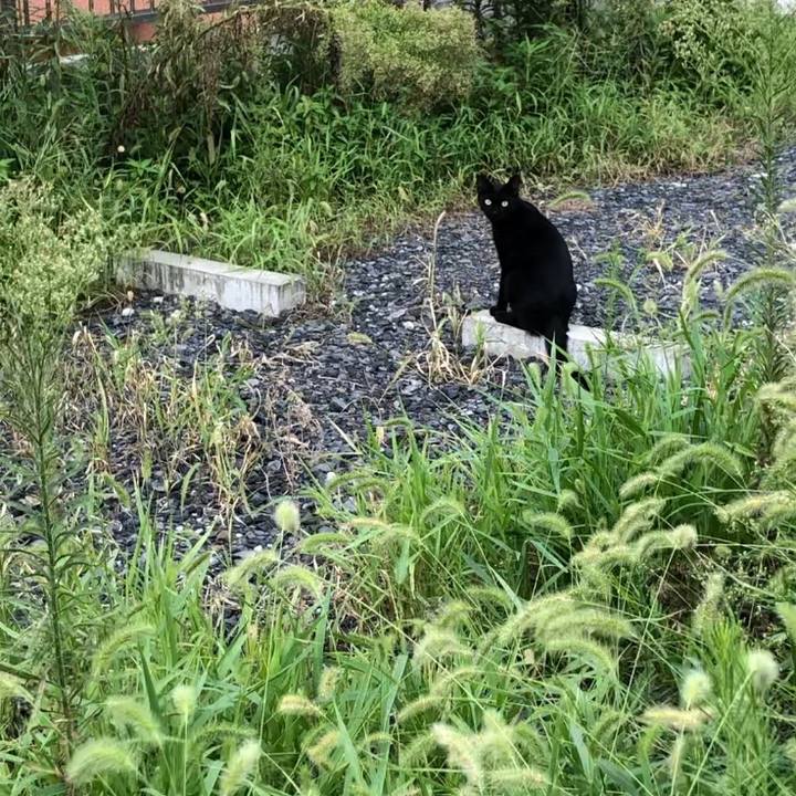 77ab9f5b 409c 4299 af30 3b88987184aa 1600703524547