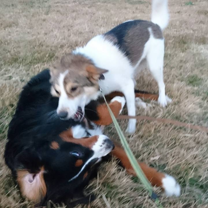 77abbb88 892e 4db5 8bce 74d1d34b8595 1512528172331