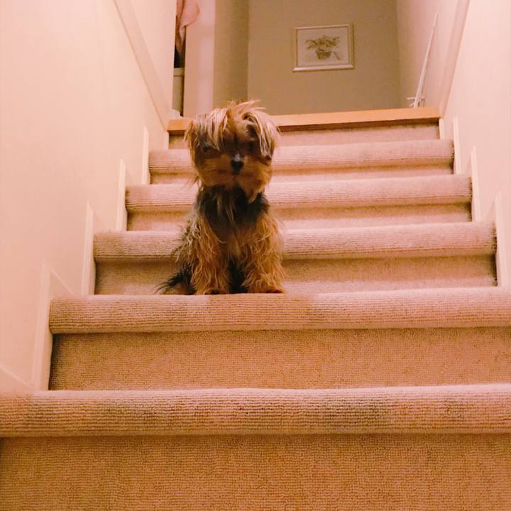 77abbfdb 7aef 465a 8a67 a2d6dee87f33 1527248195941