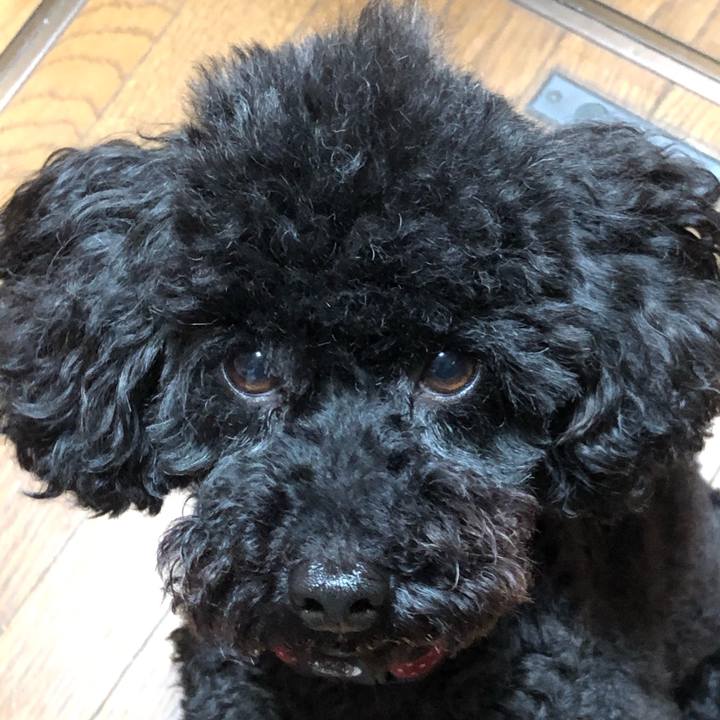 77abd58e ea0e 47cd bf8d 666babca10b7 1591016603424