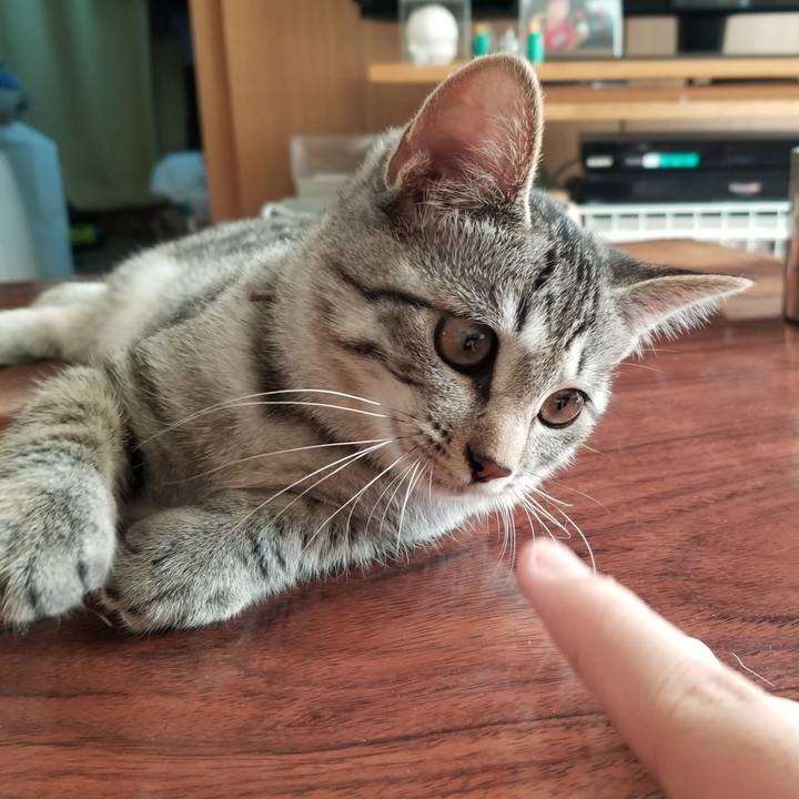 77abf86c ca3e 4461 97d4 14600ba0a152 1667737317847